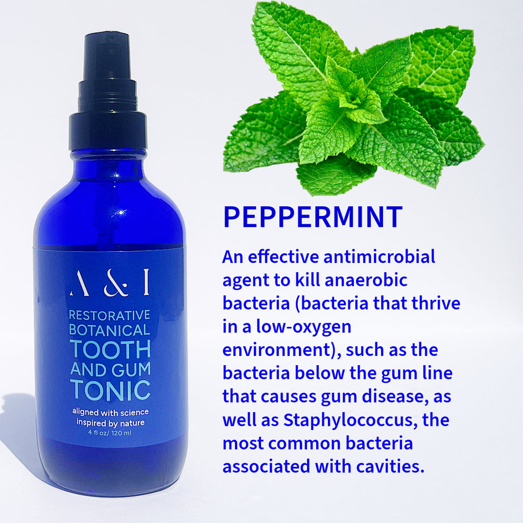 Tooth and Gums Tonic: Botanical Oil 2oz