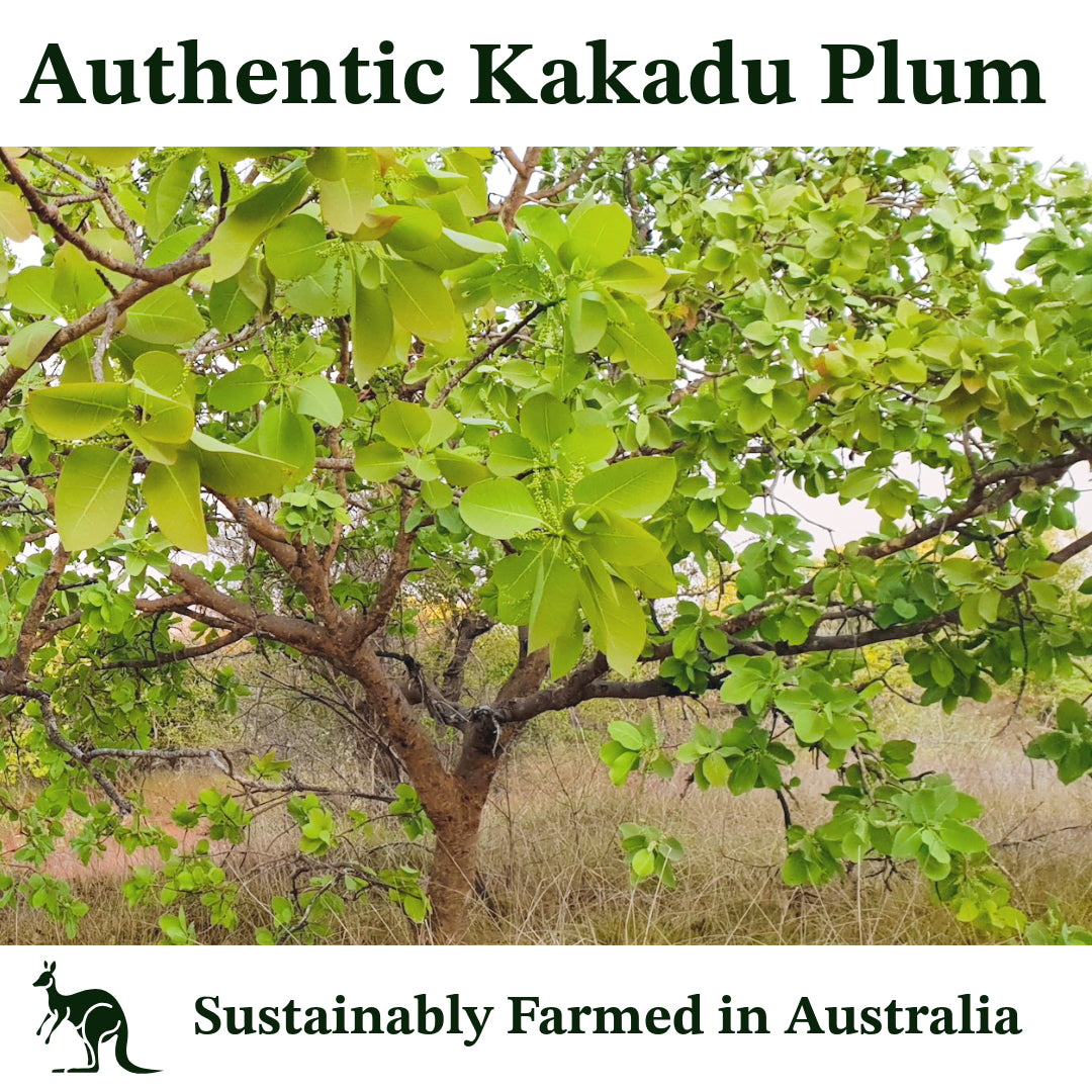 Vitamin C Serum: Kakadu Plum Cold Press Oil 2 oz